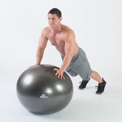 Professional Grade Stability Ball 55Cm Black